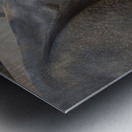 Rhino 1_00021 Metal print