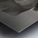 BW 06_00007 Metal print