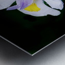 Orchid_00010 Metal print