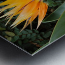 Flower Mix 07 Metal print