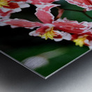 Flower Mix 02 Metal print