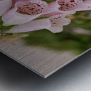 Flower Mix 13 Metal print