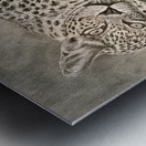 Reflecting Metal print