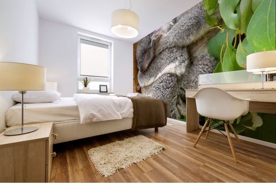 Koala 1_00013 Mural print
