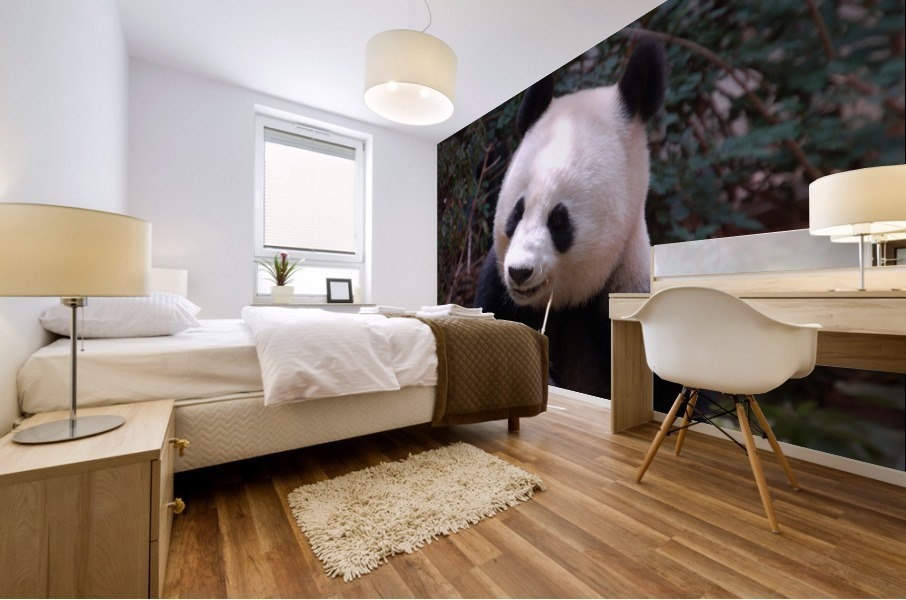 Panda 3_00017 Mural print