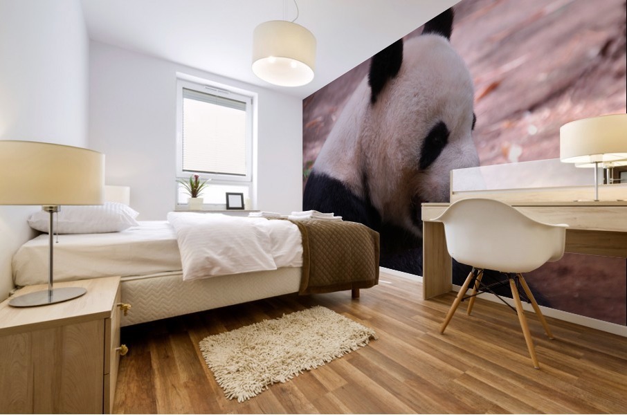 Panda 4_00018 Mural print