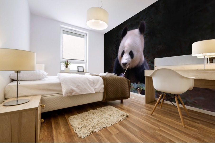 Panda 1_00015 Mural print