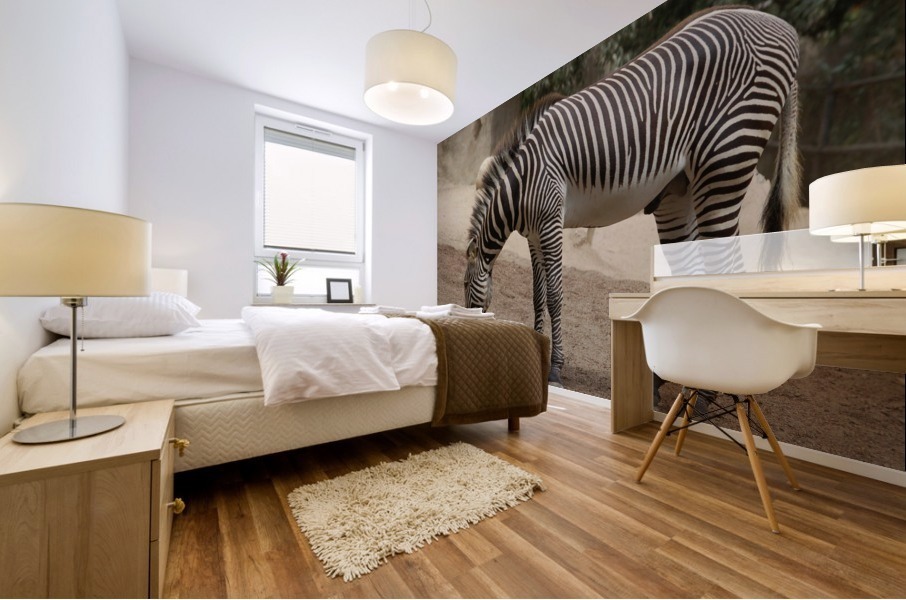 Zebra 2_00025 Mural print