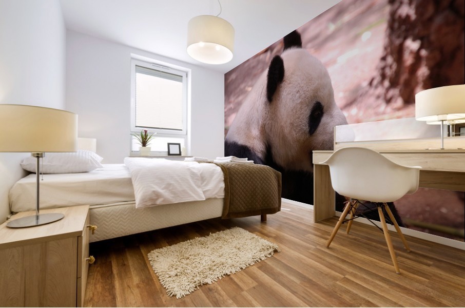 Panda 5_00019 Mural print