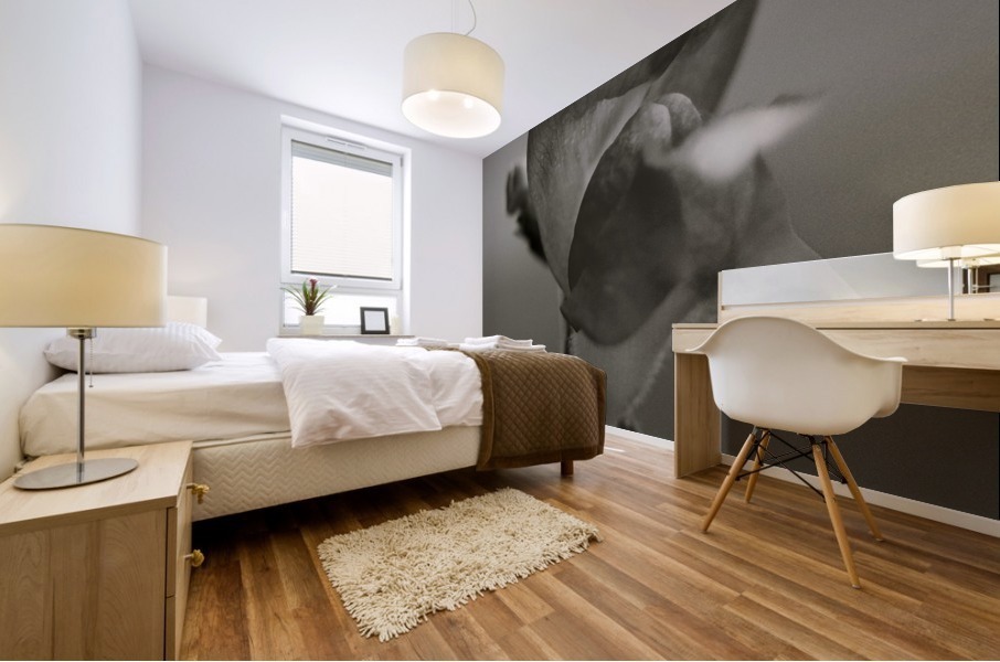 BW 06_00007 Mural print