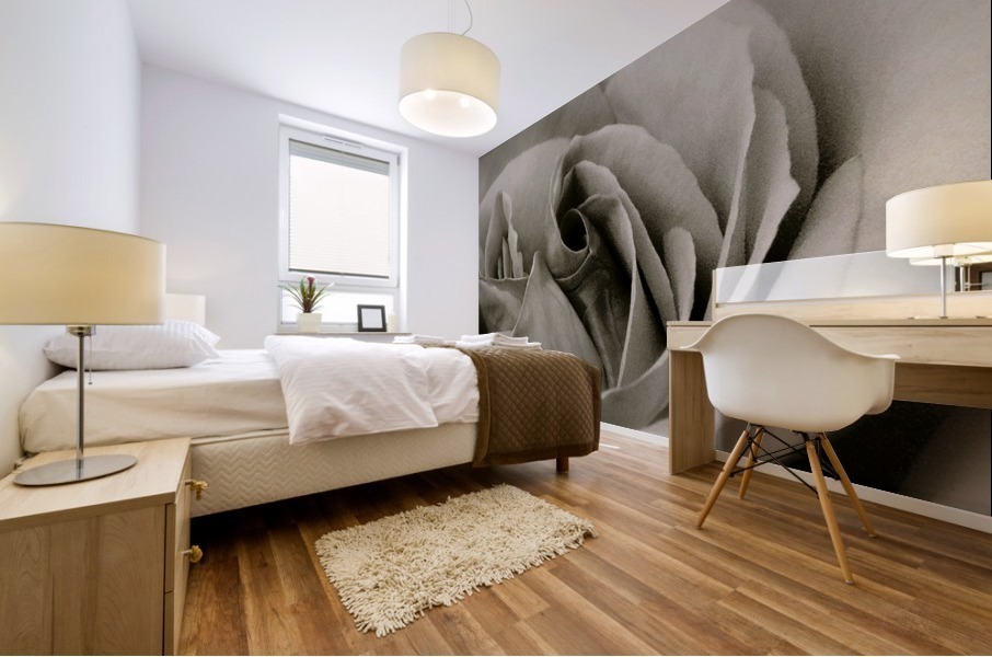 Rose04_00033 Mural print