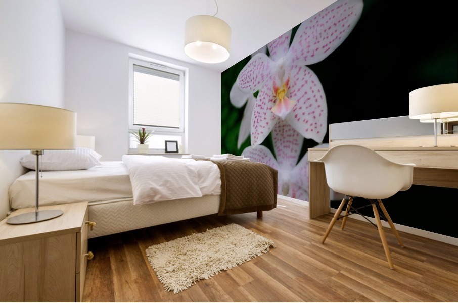 Orchid_00007 Mural print