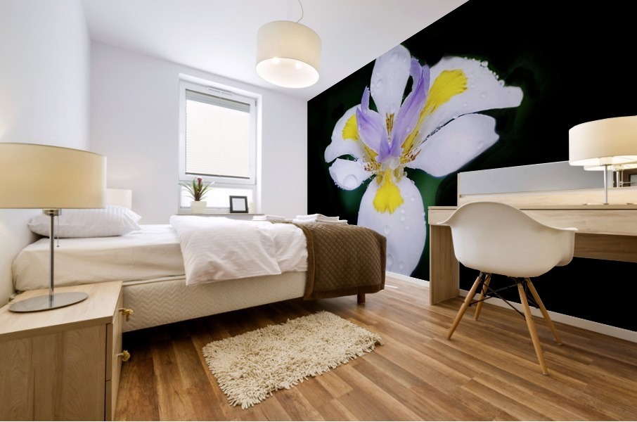 Orchid_00010 Mural print