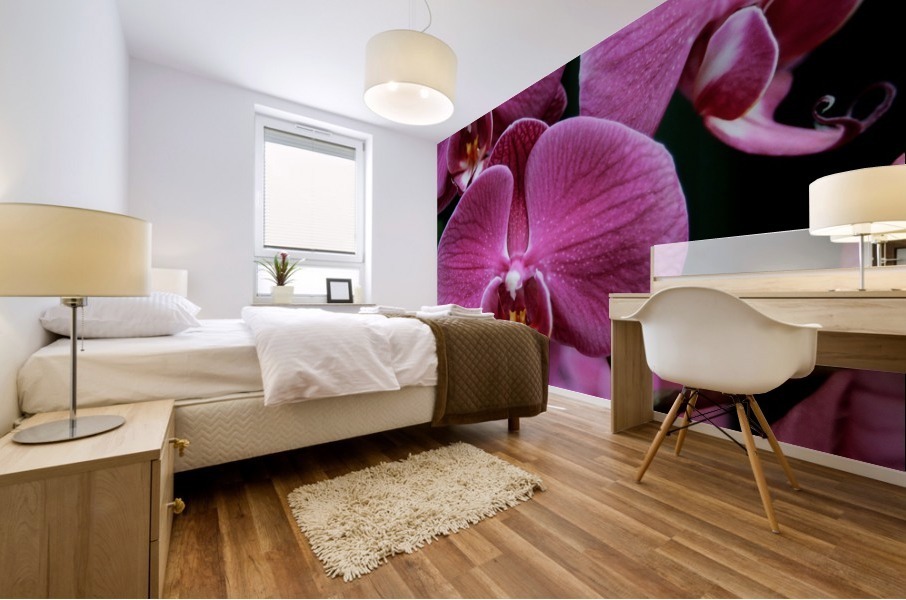 Orchid_00011 Mural print