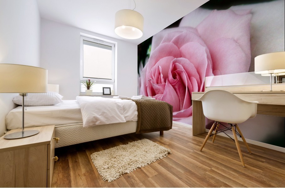 Rose03_00003 Mural print