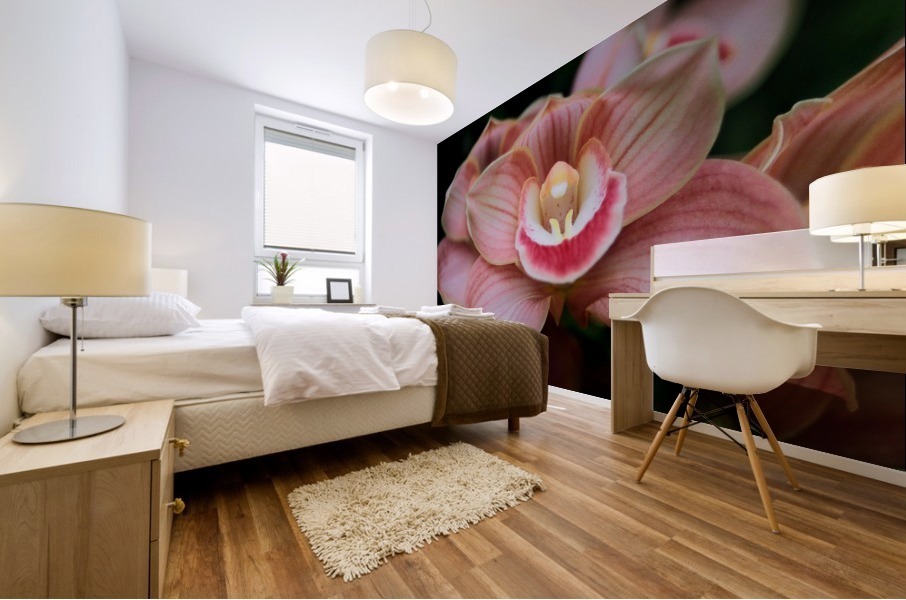 Orchid_00004 Mural print