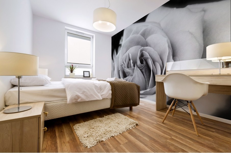 Rose01_00001 Mural print