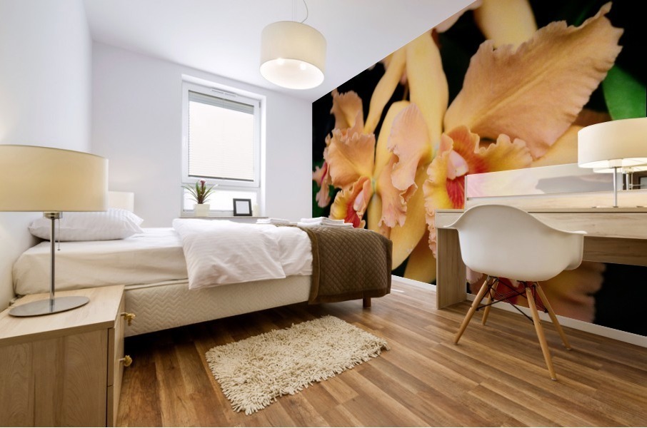Orchid_00002 Mural print