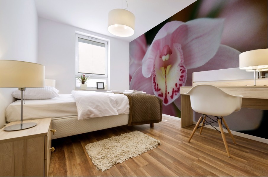 Orchid_00013 Mural print