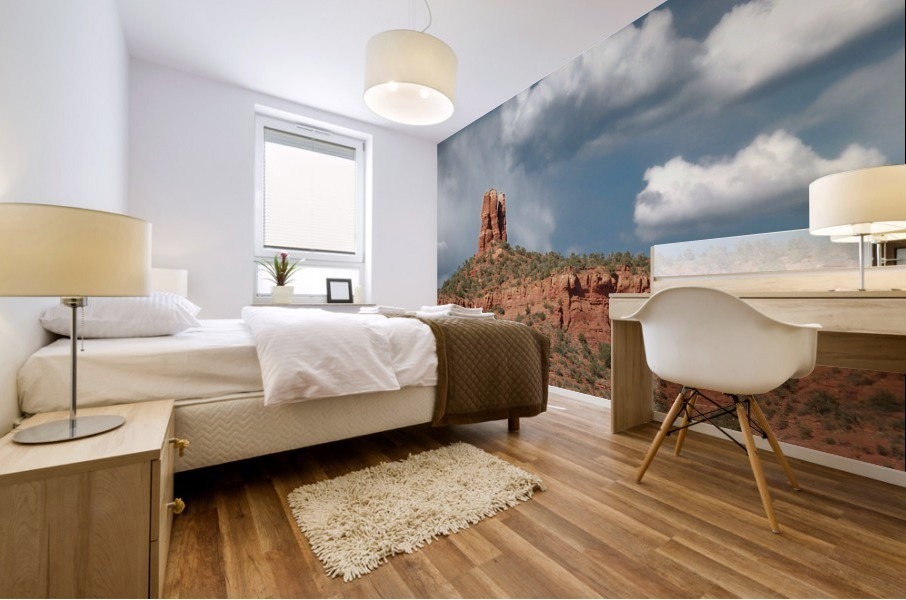 Sedona -21 Mural print