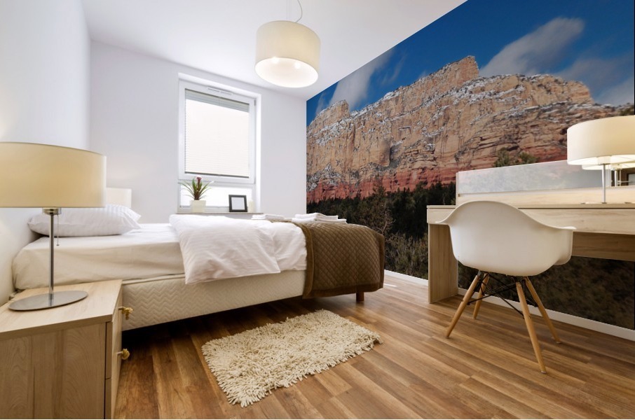 Sedona -20 Mural print