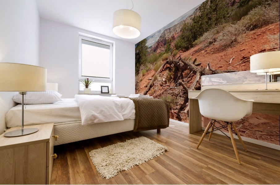 Sedona -17 Mural print