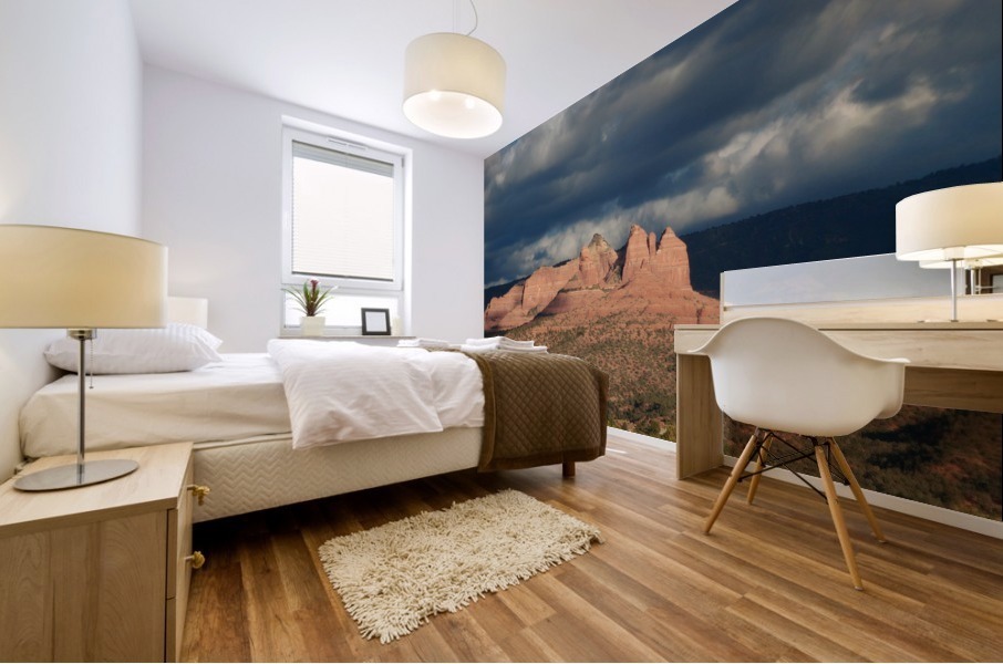Sedona -16 Mural print