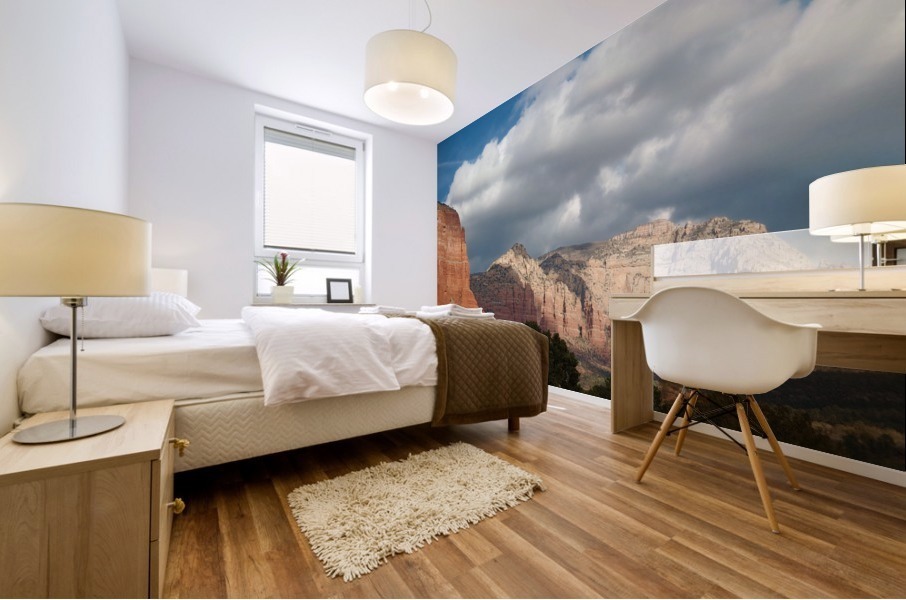 Sedona -15 Mural print