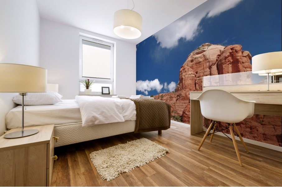 Sedona -14 Mural print