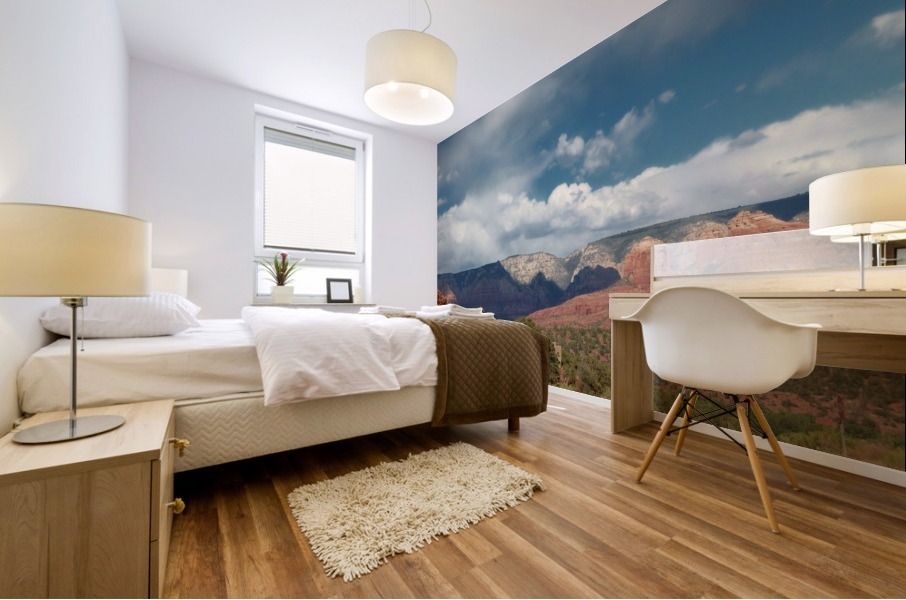 Sedona -11 Mural print