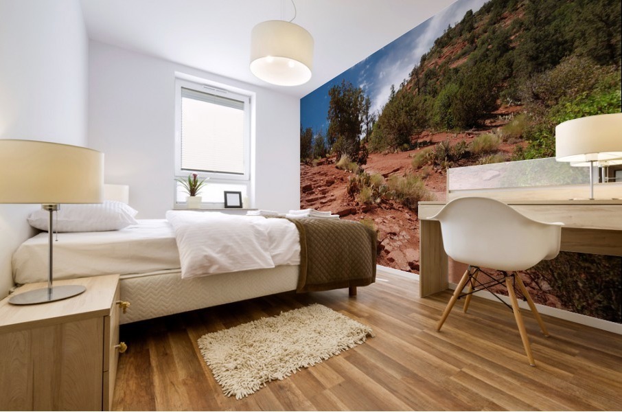 Sedona -9 Mural print