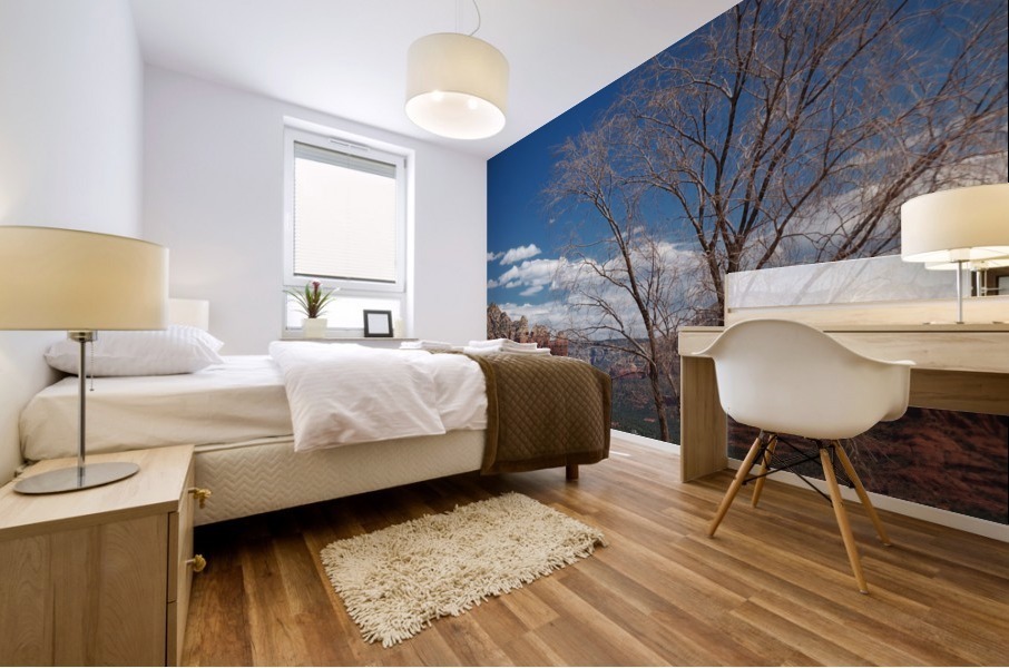 Sedona -8 Mural print
