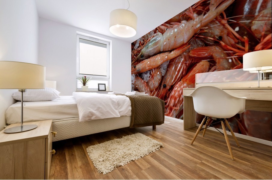Shrimp  Mural print
