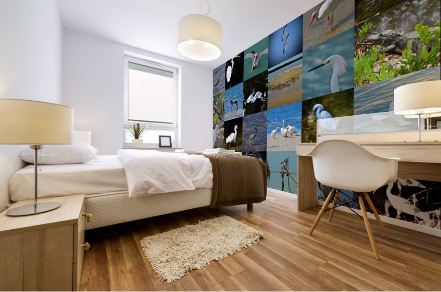 Florida 36 Mural print