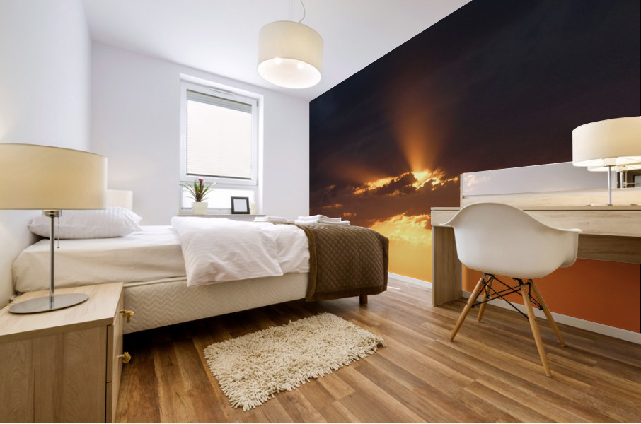 Sunset 5 Mural print