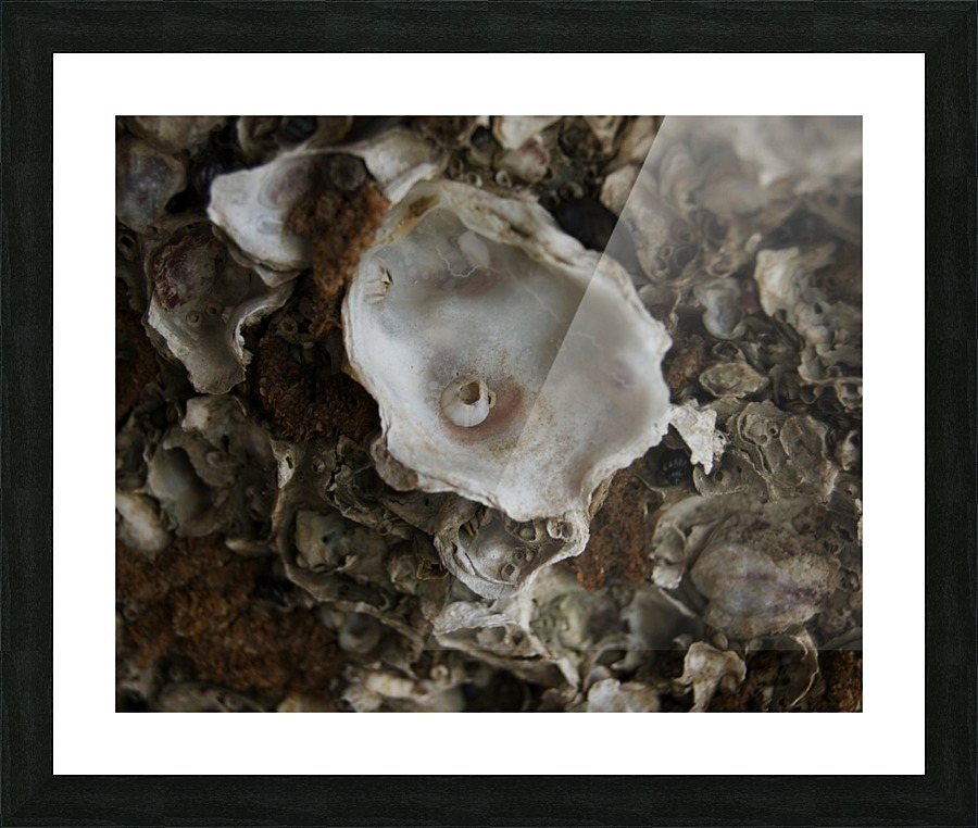 Abs 05_00004 Picture Frame print