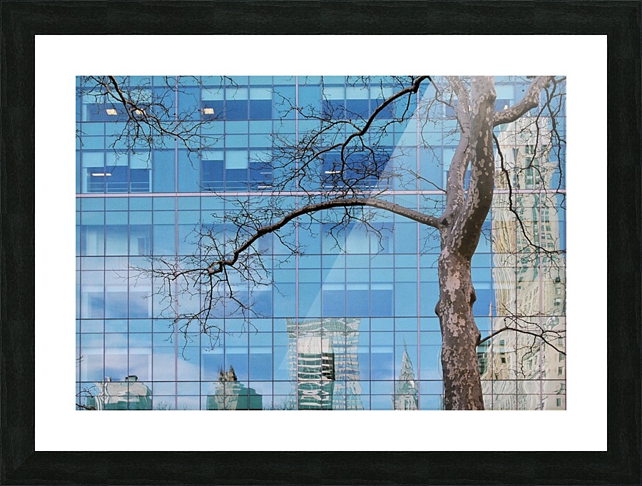 Abs 03_00002 Picture Frame print