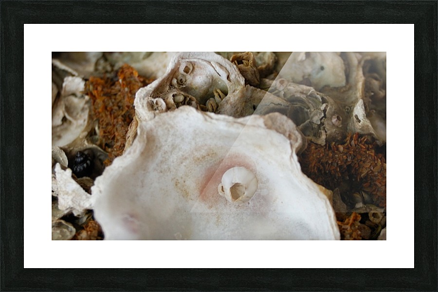 Abs 04_00003 Picture Frame print