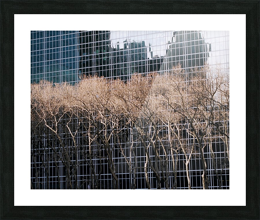 Abs 01_00001 Picture Frame print