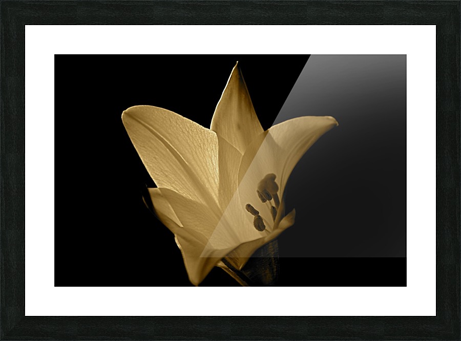 BW 03_00004 Picture Frame print