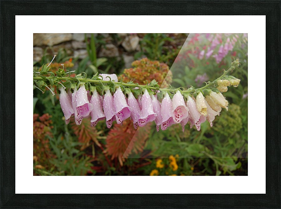 Flower Mix 12 Picture Frame print