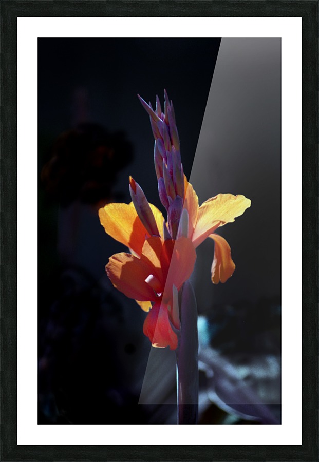 Flower Mix 18 Picture Frame print