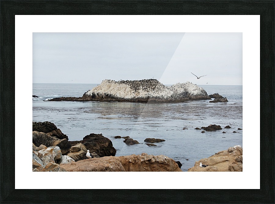 CA 09_00009 Picture Frame print