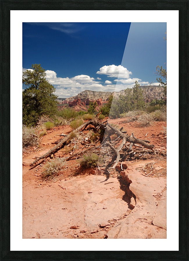 Sedona -17 Picture Frame print