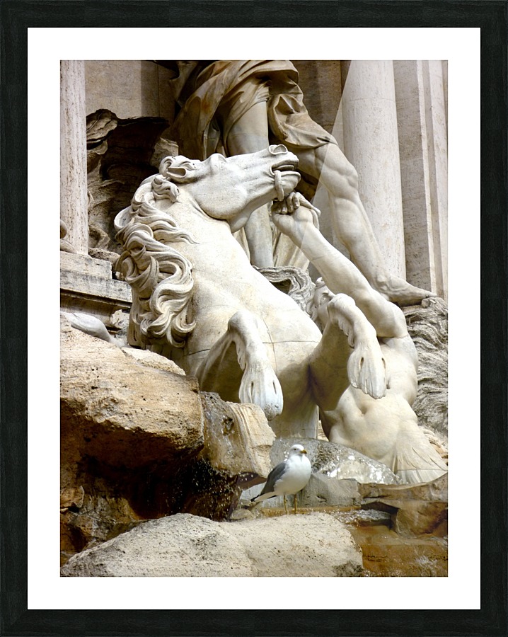 Rome Italy 4 Picture Frame print