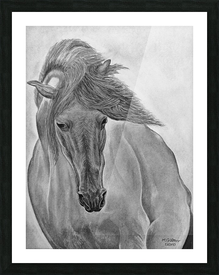 Wild Horse  Picture Frame print