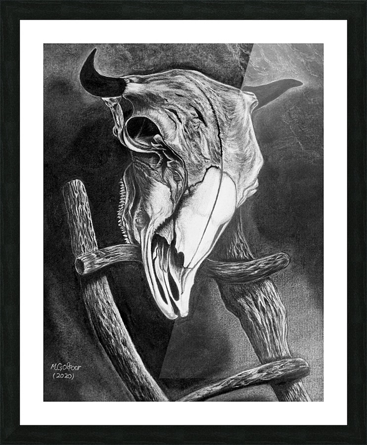 Longhorn  Picture Frame print