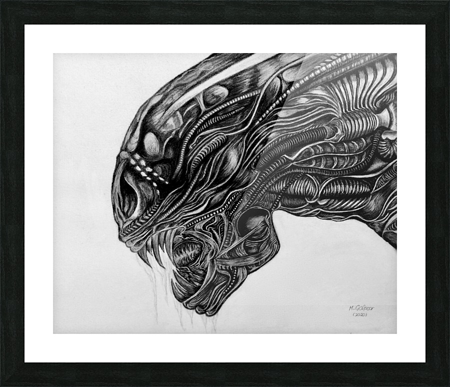 Xenomorph - Alien Impression et Cadre photo