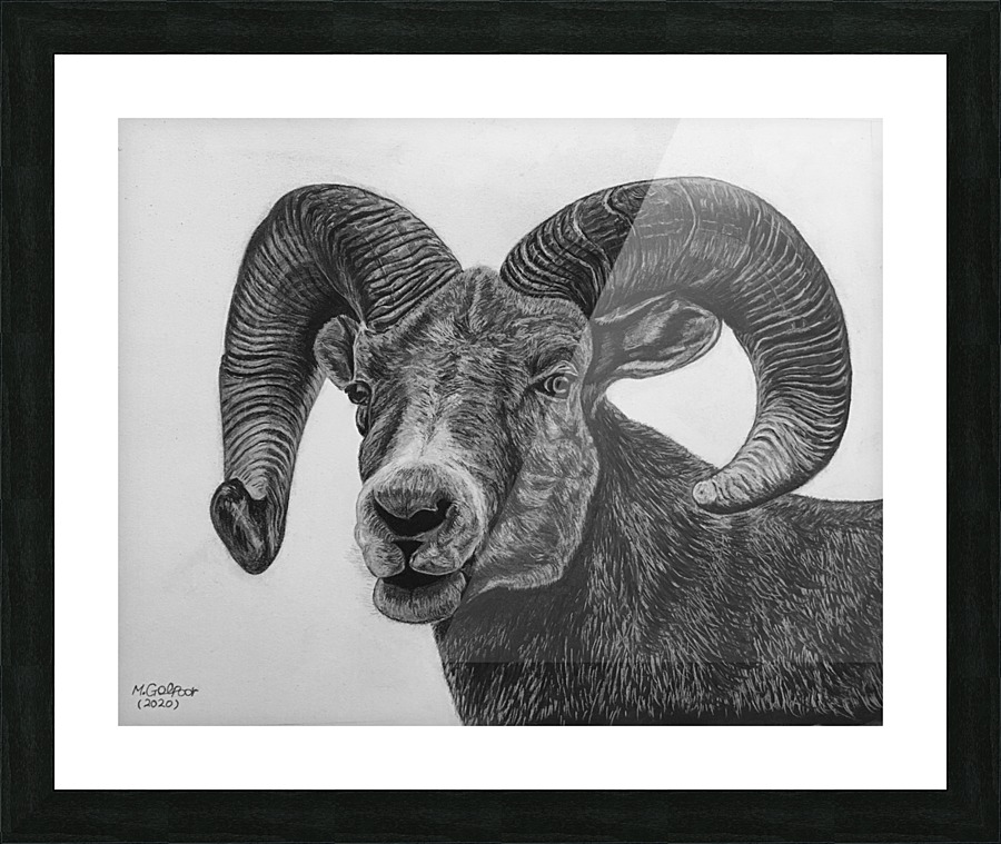 Hornes  Picture Frame print