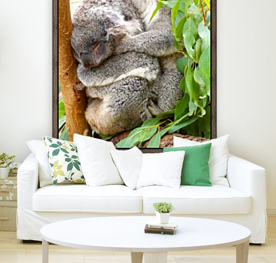 Koala 1_00013 Reproduction